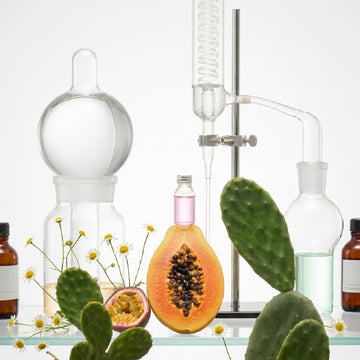 The Standard: Conscious & Clean